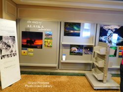Photo & Video Gallery picture