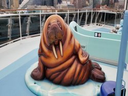 MSC Meraviglia Polar Aquapark picture