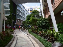 Symphony of the Seas Central Park picture