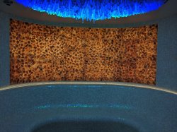 Norwegian Encore Mandara Spa picture