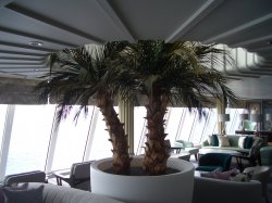 Palm Court picture