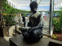 MSC Seaview Jungle Pool picture