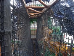 Adventure Trail picture Adventure Trail picture