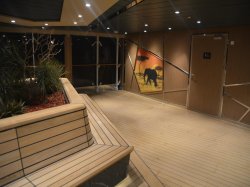 MSC Grandiosa Solarium picture