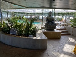 MSC Seaview Jungle Pool picture