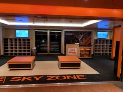 Carnival Panorama Sky Ride picture