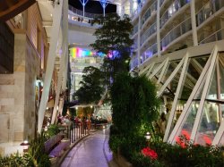 Allure of the Seas Central Park picture