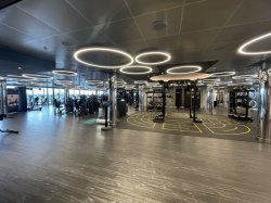 MSC Gym picture