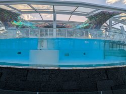 Symphony of the Seas Solarium picture