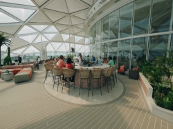 Wonder of the Seas Solarium picture