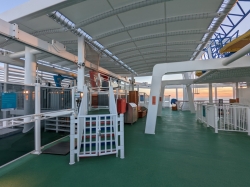 Carnival Panorama Sky Ride picture