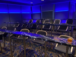 Discovery Princess Princess Theater picture