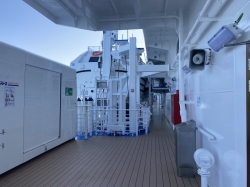 Discovery Princess Outside Promenade picture