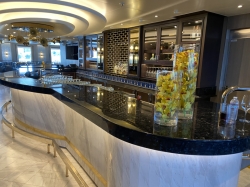 Discovery Princess Vista Lounge picture