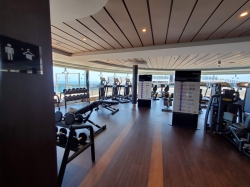 MSC Gym by Technogym picture
