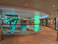 Carnival Panorama Atrium picture