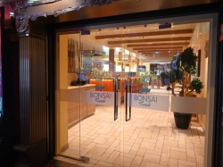 Bonsai Sushi picture