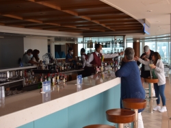 Discovery Princess Seaview Bar picture