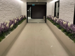 Lotus Spa picture