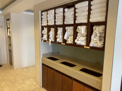 Norwegian Pearl Spa & Beauty Salon picture