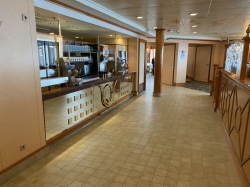 Norwegian Pearl Garden Cafe picture