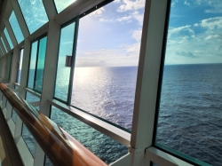 Freedom of the Seas Pool picture Uploaded in 2022 Photo courtesy of Felicia M Katsarov. Freedom of the Seas Pool picture