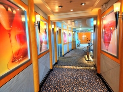 Freedom of the Seas Viking Crown Lounge picture