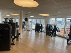 Valiant Lady B-Complex picture