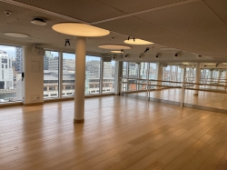 Valiant Lady B-Complex picture