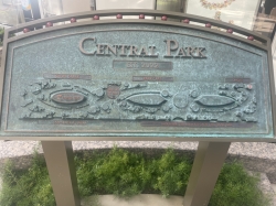 Wonder of the Seas Central Park picture