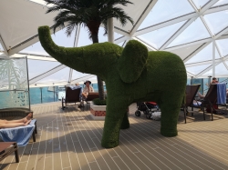 Wonder of the Seas Solarium picture