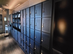 Scarlet Lady B-Complex picture