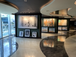 MSC Seashore Art Gallery picture