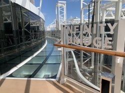MSC Seashore Infinity Bridge picture Uploaded in 2022 Photo courtesy of Donald Palmesano. MSC Seashore Infinity Bridge picture
