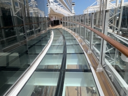 MSC Seashore Infinity Bridge picture Uploaded in 2022 Photo courtesy of Donald Palmesano. MSC Seashore Infinity Bridge picture