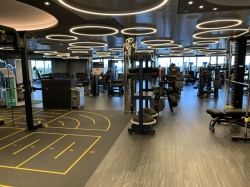 MSC Gym picture MSC Gym picture