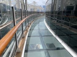 MSC Seashore Infinity Bridge picture Uploaded in 2022 Photo courtesy of Donald Palmesano. MSC Seashore Infinity Bridge picture