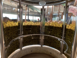 MSC Seashore Pirates Cove Aquapark picture