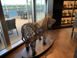 MSC Seashore Butchers Cut picture