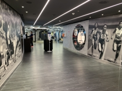 MSC Gym picture MSC Gym picture