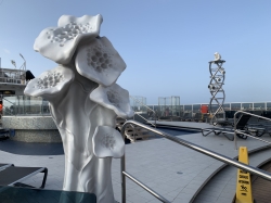 MSC Seashore Long Island Pool picture