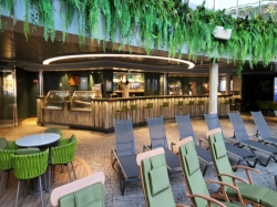 MSC Seashore Jungle Bar and Pool picture