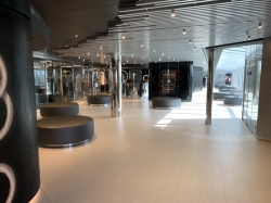 MSC Seashore MSC Aurea Spa picture