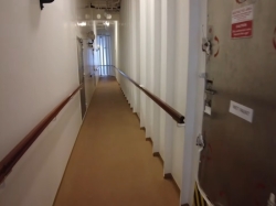 Norwegian Star Promenade picture