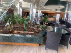 MSC Divina Le Sirene Covered Pool picture