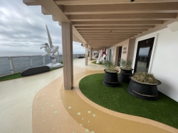 Norwegian Prima Concourse picture