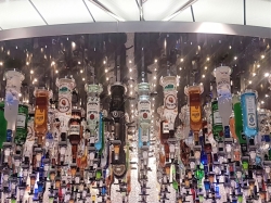 Spectrum of the Seas Bionic Bar picture