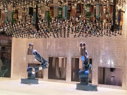 Spectrum of the Seas Bionic Bar picture