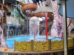 MSC Seashore Pirates Cove Aquapark picture