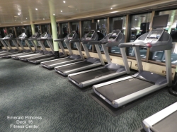 Emerald Princess Fitness Center picture